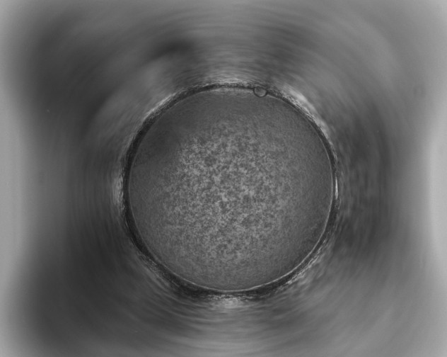 X0000094070249200710261252