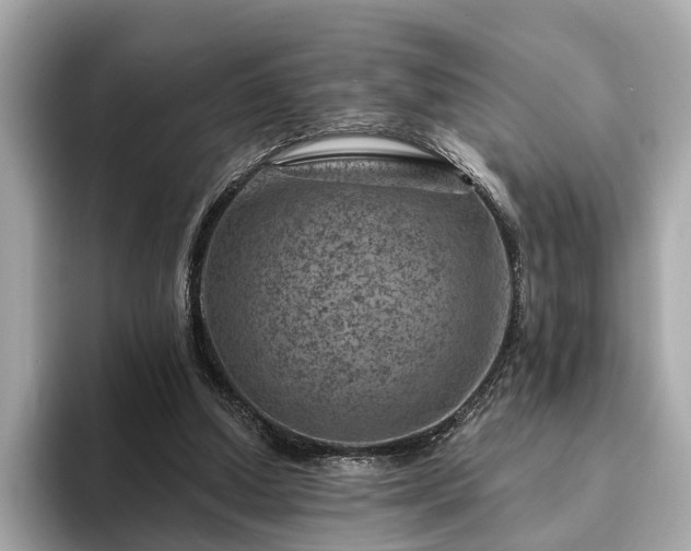 X0000094070250200710261252