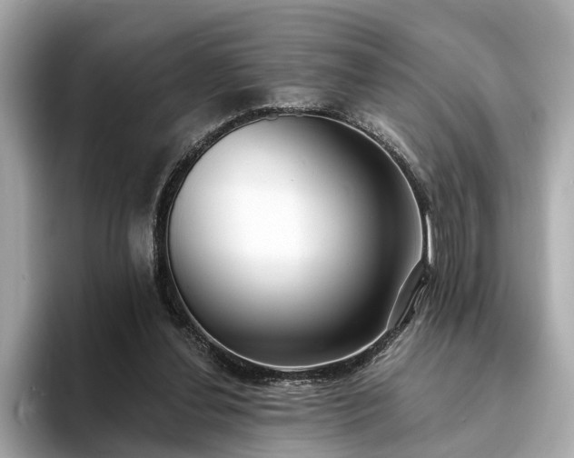 X0000094070252200710261252