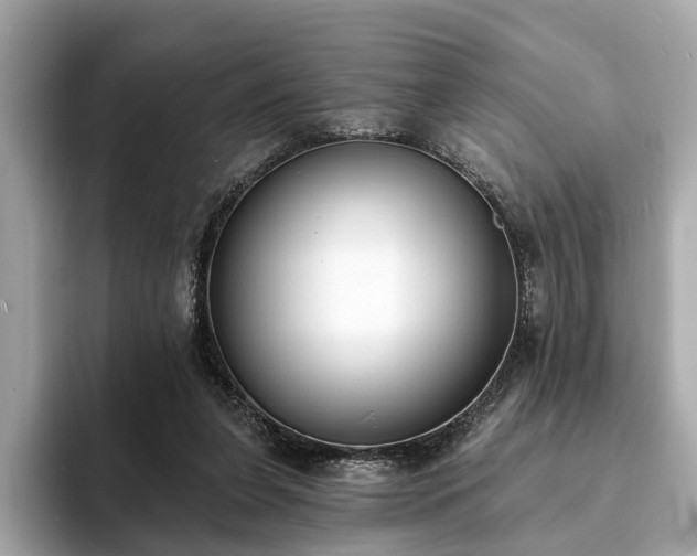 X0000094070255200710261252