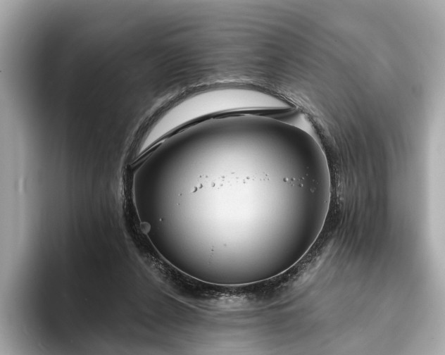 X0000094070256200710261252