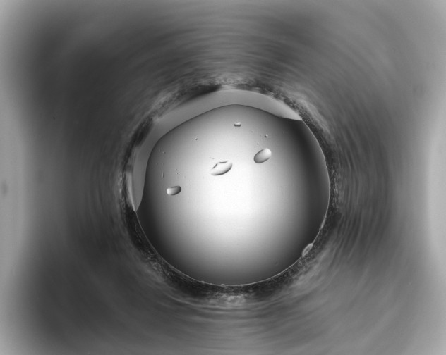X0000094070260200710261253