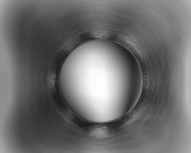 X0000094070263200710261253