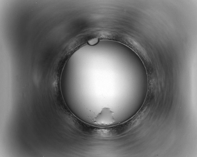 X0000094070265200710261253