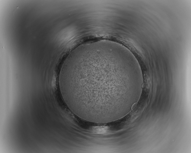 X0000094070266200710261253