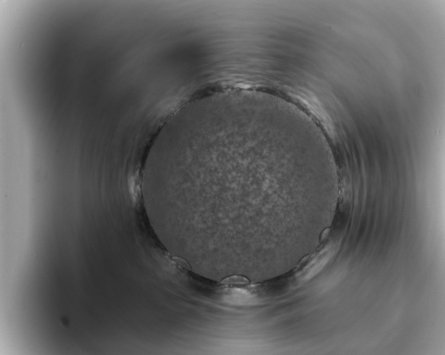 X0000094070285200710261253