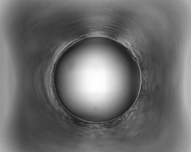X0000094070289200710261252