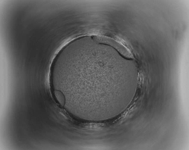 X0000094070292200710261252