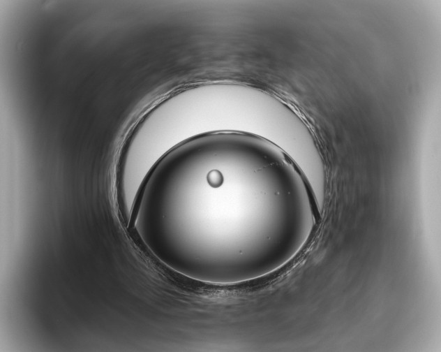 X0000094070293200710261252