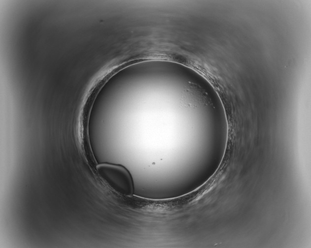 X0000094070294200710261252