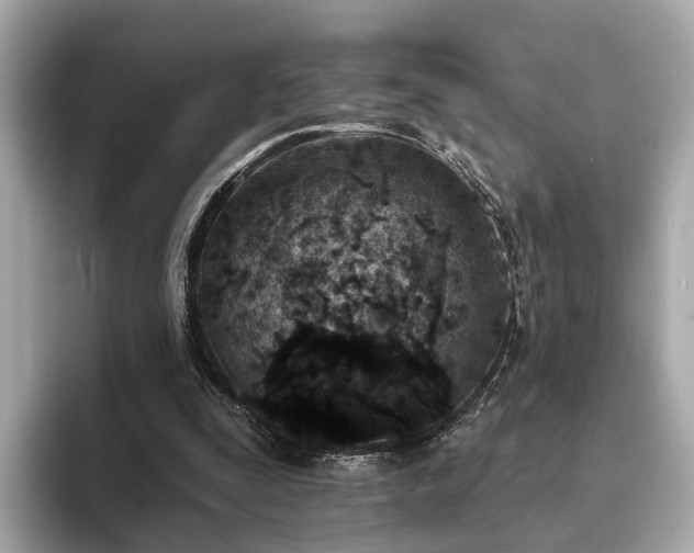 X0000094070295200710261252