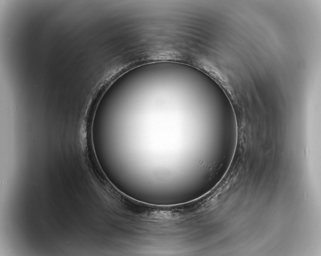 X0000094070298200710261252
