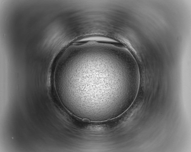X0000094070299200710261252