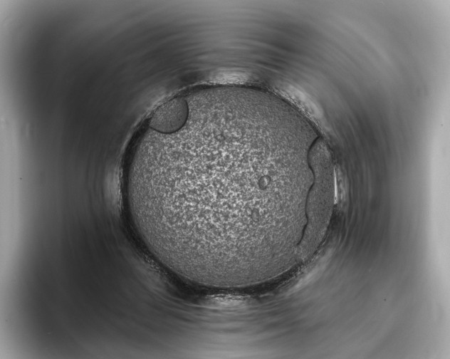 X0000094070300200710261252