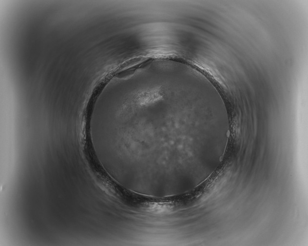 X0000094070303200710261252