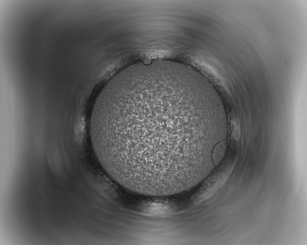 X0000094070308200710261252