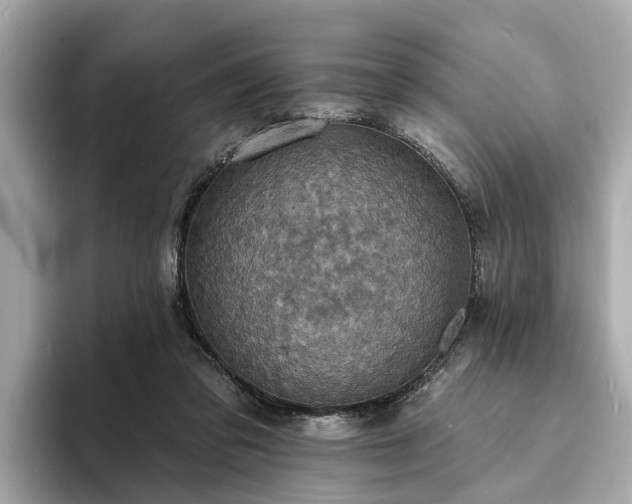 X0000094070309200710261252
