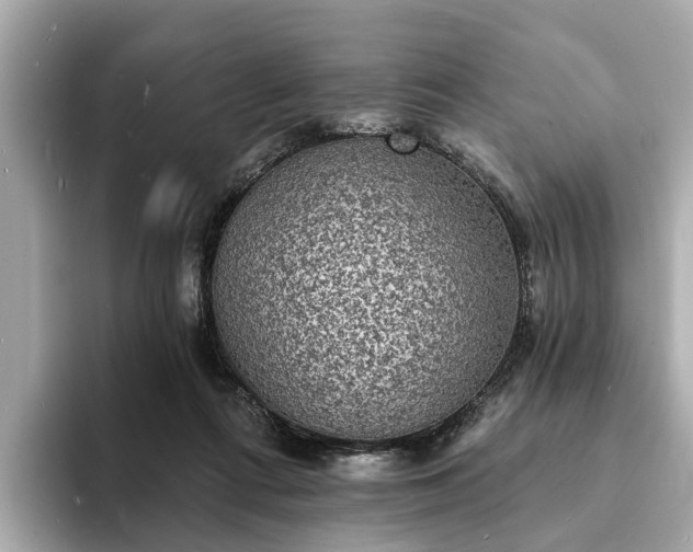 X0000094070312200710261252