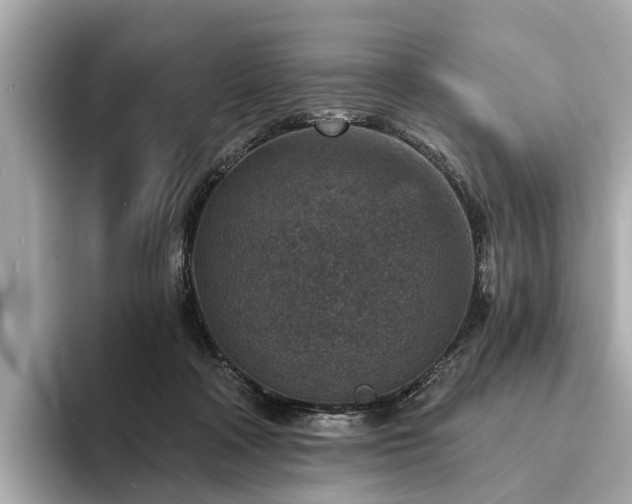 X0000094070314200710261252