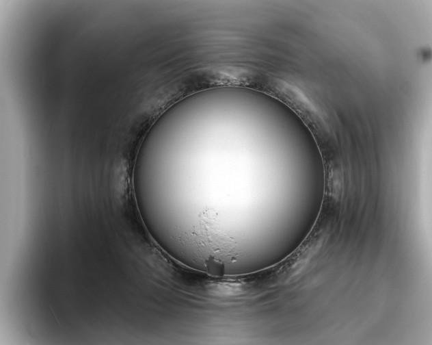X0000094070318200710261252