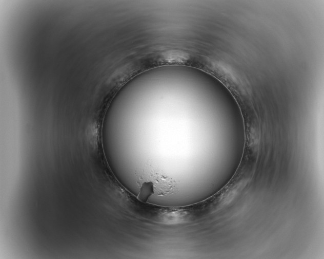 X0000094070321200710261252