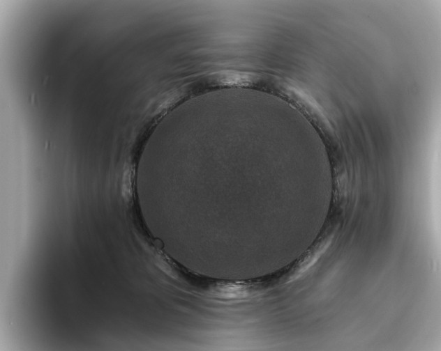 X0000094070325200710261252