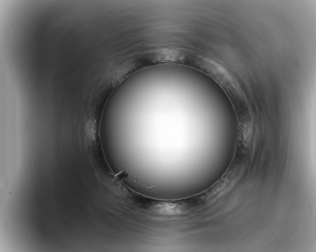 X0000094070326200710261252