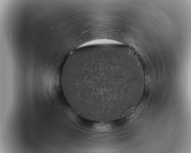 X0000094070331200710261252