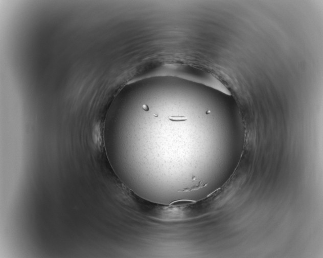 X0000094070335200710261251