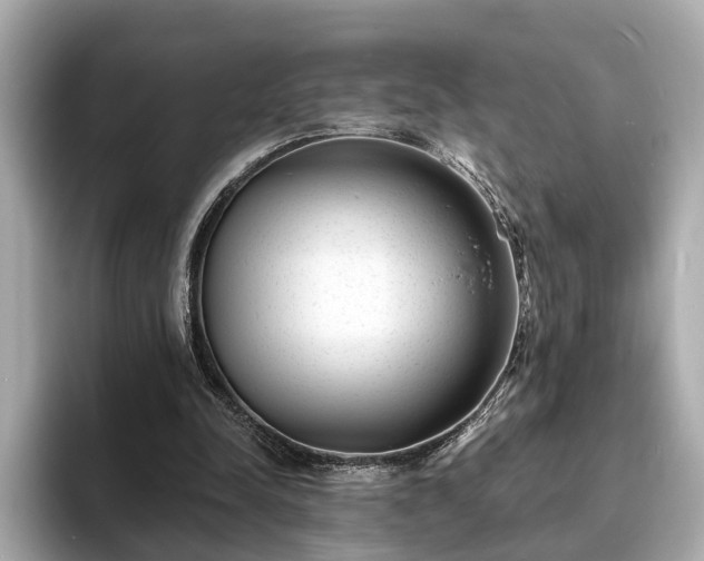 X0000094070342200710261251