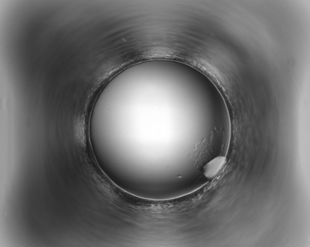 X0000094070345200710261251