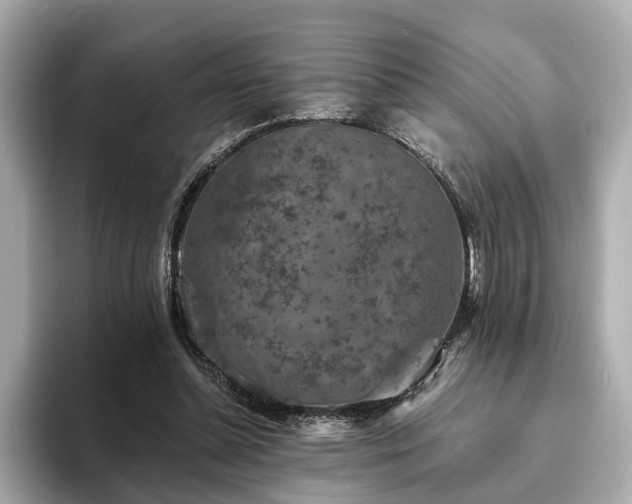 X0000094070348200710261251