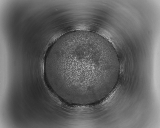X0000094070349200710261251