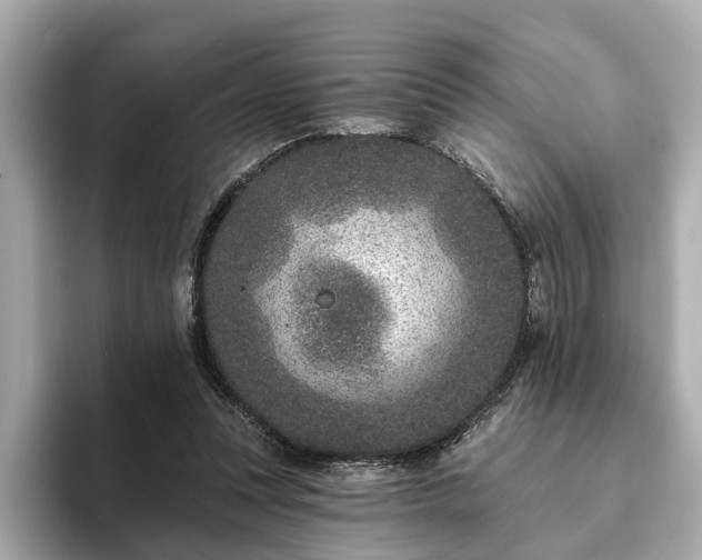 X0000094070351200710261251