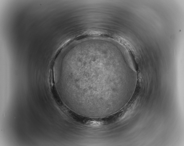 X0000094070352200710261251