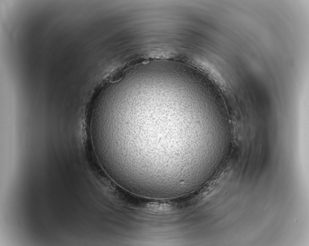 X0000094070354200710261251