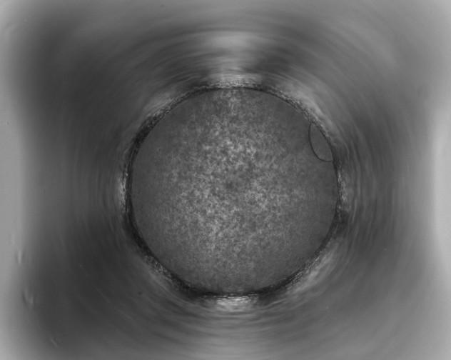 X0000094070357200710261251
