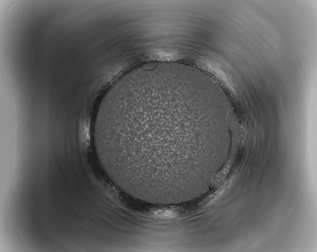 X0000094070358200710261251