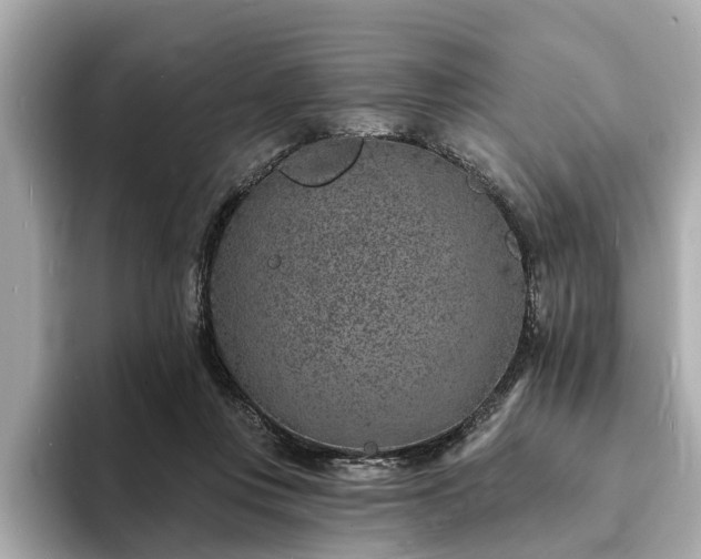 X0000094070359200710261251