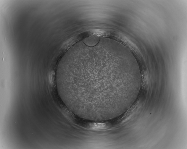 X0000094070361200710261251