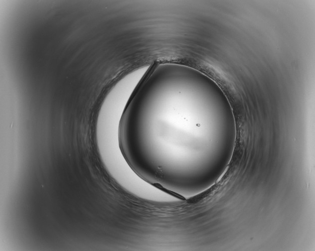 X0000094070362200710261251
