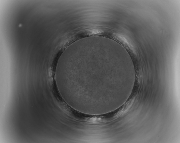 X0000094070366200710261251