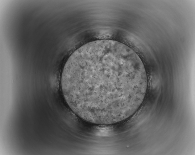 X0000094070370200710261251