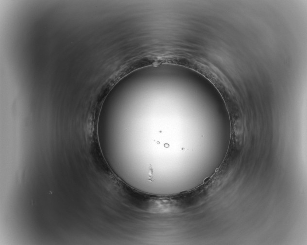 X0000094070372200710261251