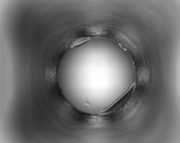 X0000094070376200710261251