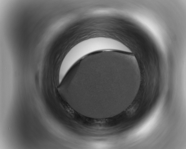 X0000094070382200710261251
