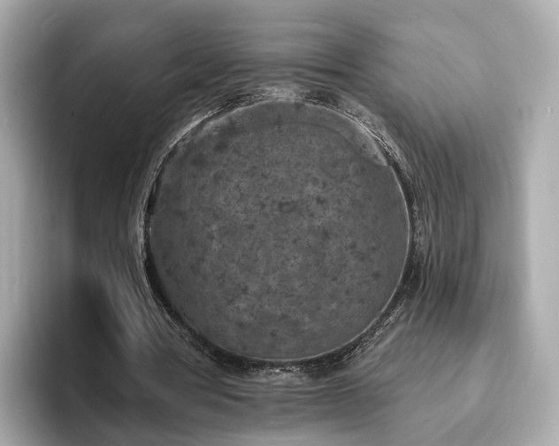 X0000094070386200710261251