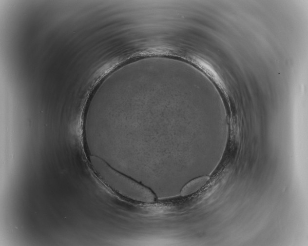 X0000094070389200710261251