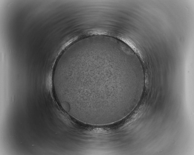 X0000094070390200710261251