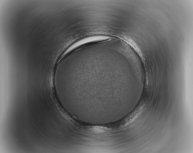 X0000094070393200710261251